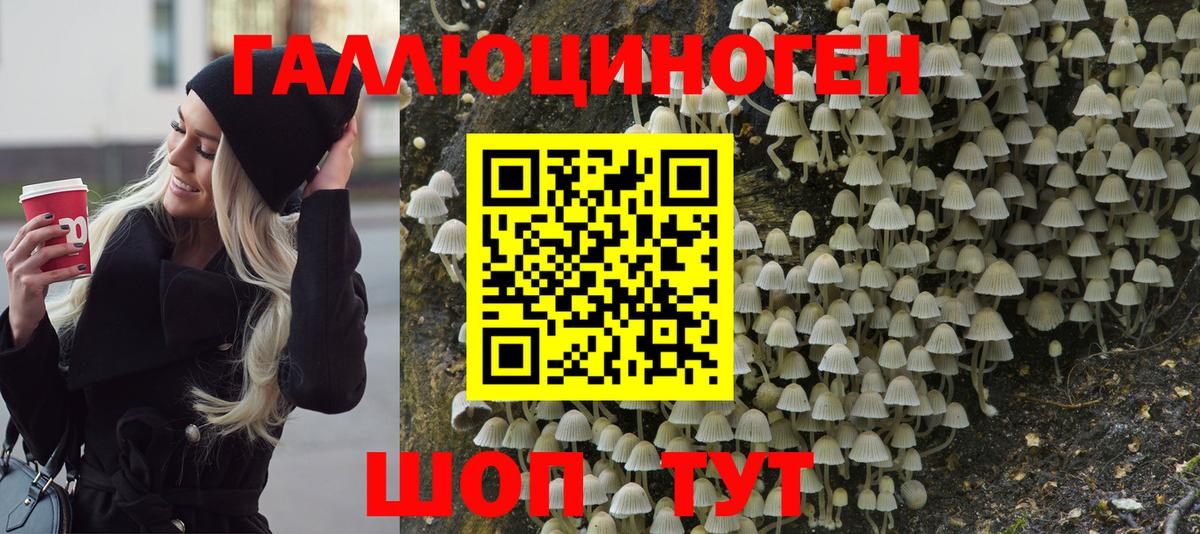 Псилоцибиновые грибы Psilocybe Ирбит